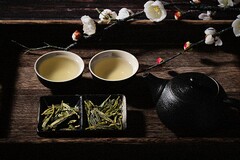格子合同什么意思