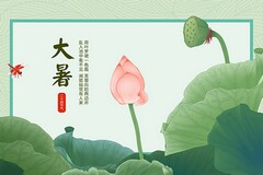 海棠小作文