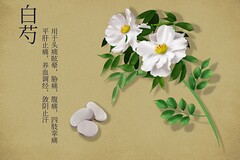 家长会学生发言稿小学范文