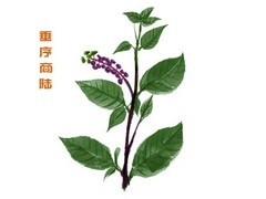 《读懂初中生》读后感(初中生读后感简短)