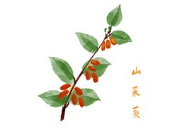 出纳工作年终总结_最新出纳年终工作总结