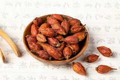 物流公司实习报告怎么写