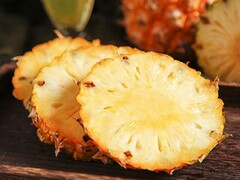 最新见习期工作自我鉴定(见习结束后的自我鉴定)