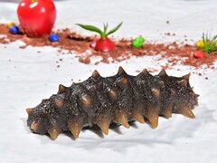 2024年对一年级新生入学的寄语_对新生一年级的期望和寄语