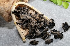 实践作业的自我鉴定_实践实习工作自我鉴定