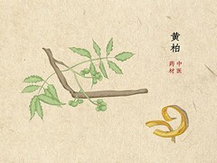 工会活动领导讲话稿_工会成立大会上级领导讲话稿套路