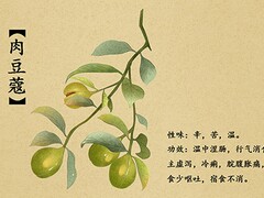 设备借用合同_设备借用单模板