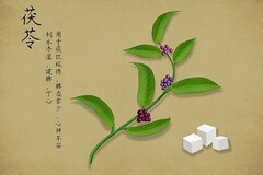 个人租赁合同完整版_个人租赁合同注意事项