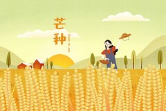 北京过春节周记_北京过春节完整视频
