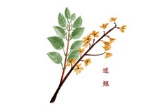 冀教版五年级上册语文期末试卷