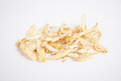 个人简历自荐信模板_个人简历自荐信