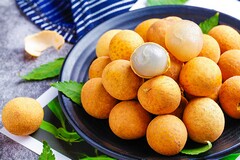 师范生自我鉴定(师范生见习的自我鉴定)