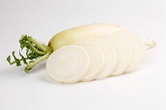 中班美术教案(中班美术教案人物画图片)