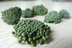 高一综合素质评价评语(高一综合素质评价500字)