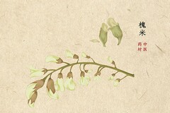 礼仪对于当代大学生的重要性