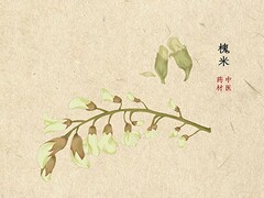 安全生产月征文三年级