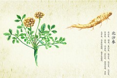 六一儿童节大人发朋友圈句子