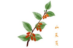 班级星级管理工作总结(班级星级评比策划)