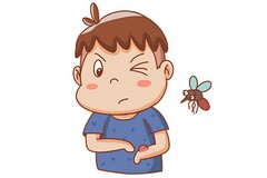 班主任评语高中200字