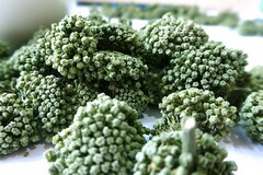 煤矿生产风险预判管理工作专项方案(煤矿风险研判及应对措施)