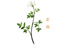 团员年度个人总结300字大学生_团员年度个人总结