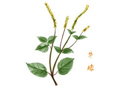 在职收入证明和薪资证明