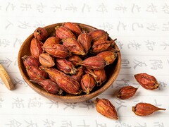中学生诚信演讲稿500字