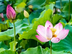 寒假作业之个人总结_寒假作业总结100字