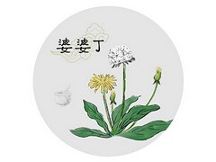 教育实习教师总结