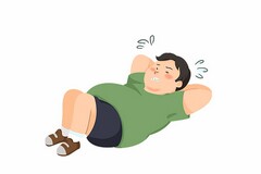 法人向公司借款合同_法人向公司借款借条