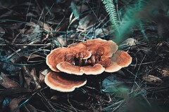 医院防火灾应急预案(医院突发事件应急预案)
