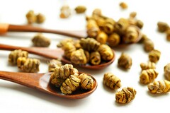 工厂用工合同简单_工厂用工劳动合同范本