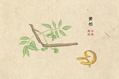 经营承包简单的合同_餐饮承包经营合同