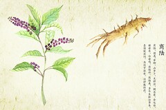 政治思想总结简短