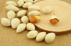双方离婚协议书_双方离婚协议书2023标准版