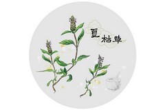 快乐的端午作文500字